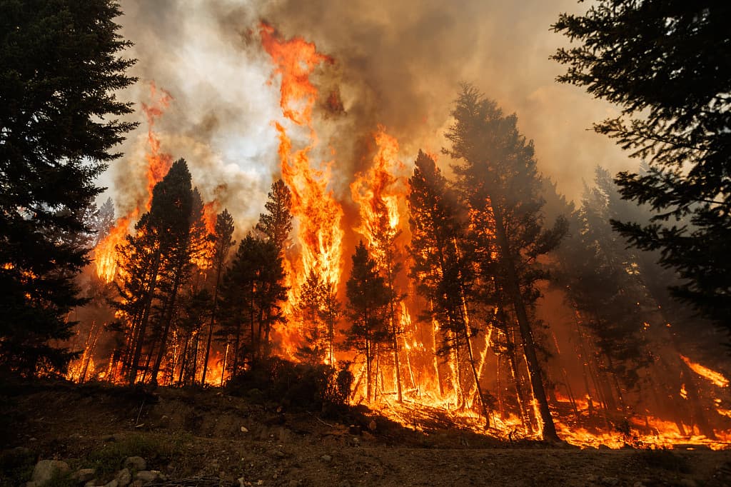 PacifiCorp, Berkshire Hathaway Unit, Pays $150 Million Over Oregon Fires