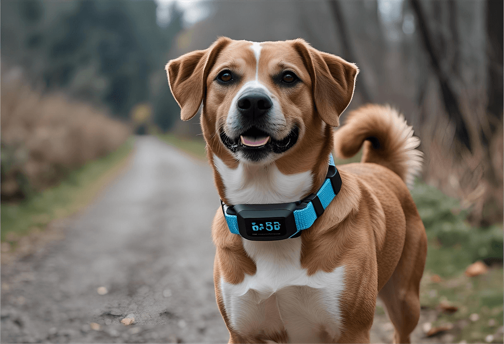 7 Best Dog Fitness Trackers Help Owners Manage High-Energy Pups in 2026