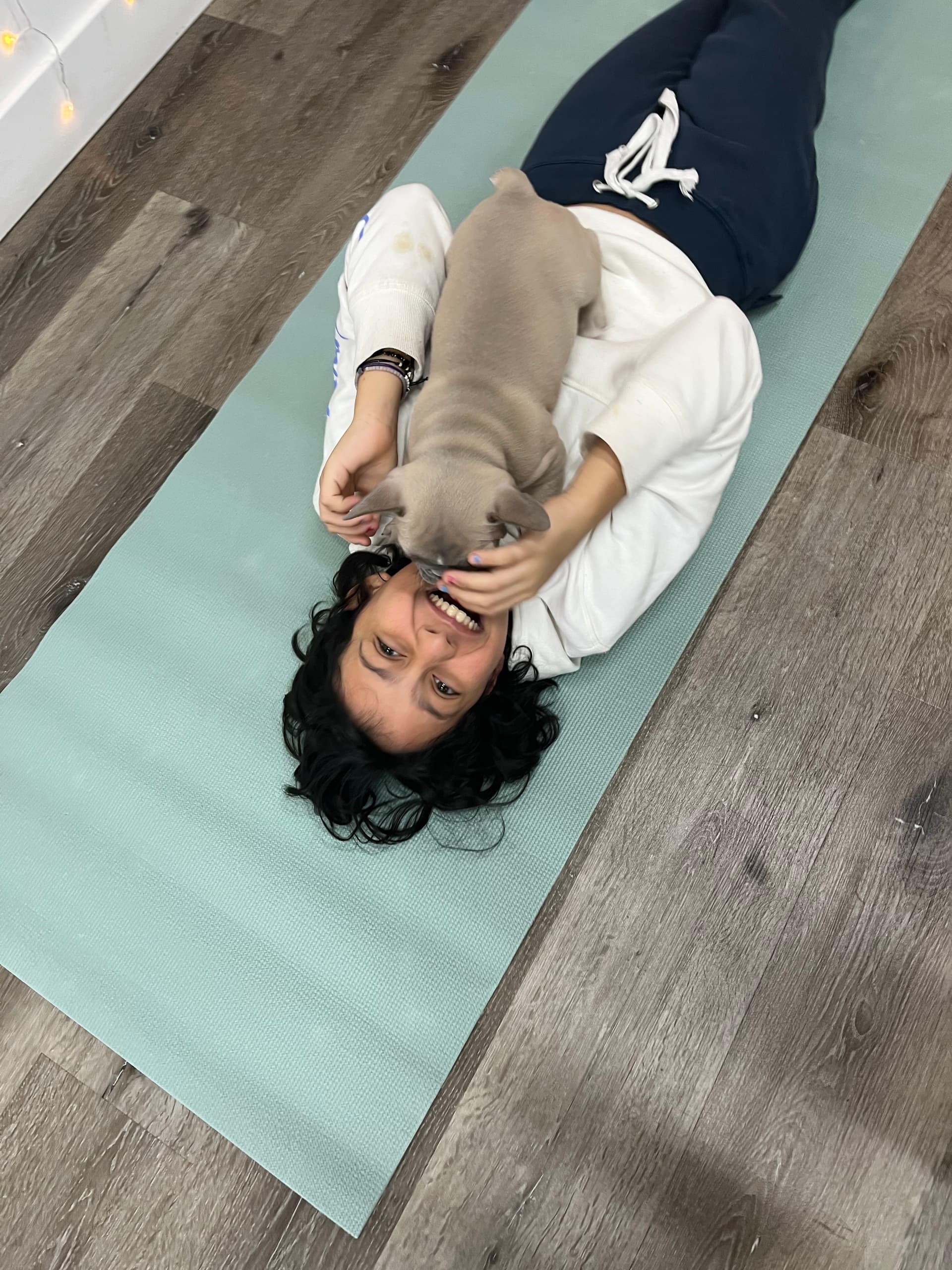 San Diego Puppy Yoga Sessions Pair Adoptable Frenchies With Relaxing Flows