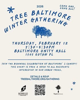 Baltimore asks residents to help choose city’s new official tree