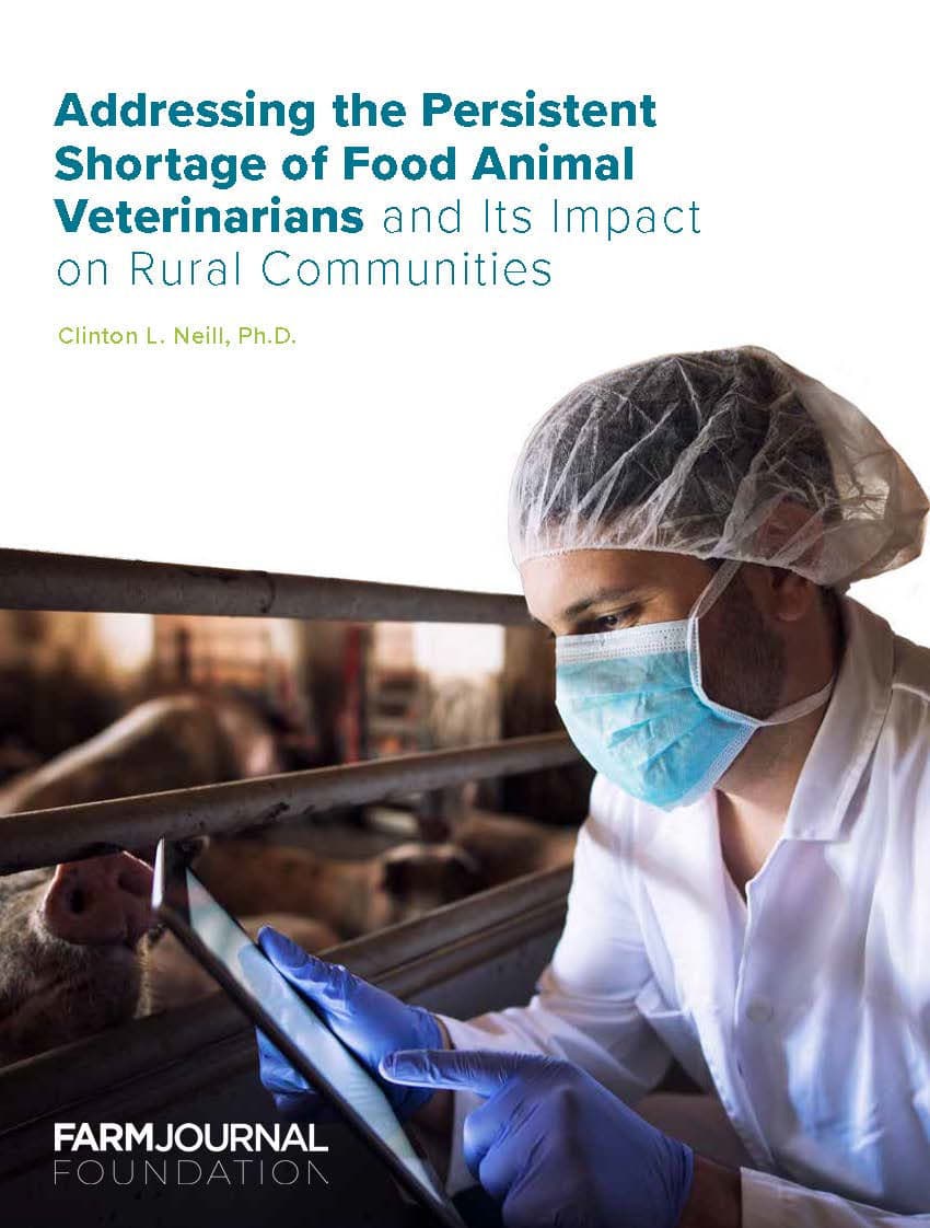 Wyoming Scholarship Program Targets Rural Vet Shortage in Nine Counties