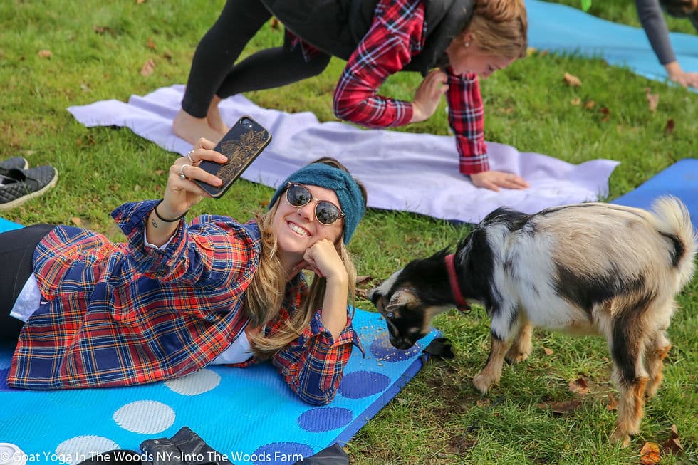 Puppy Yoga at Saratoga Farm Adds Border Collies and Baby Goats