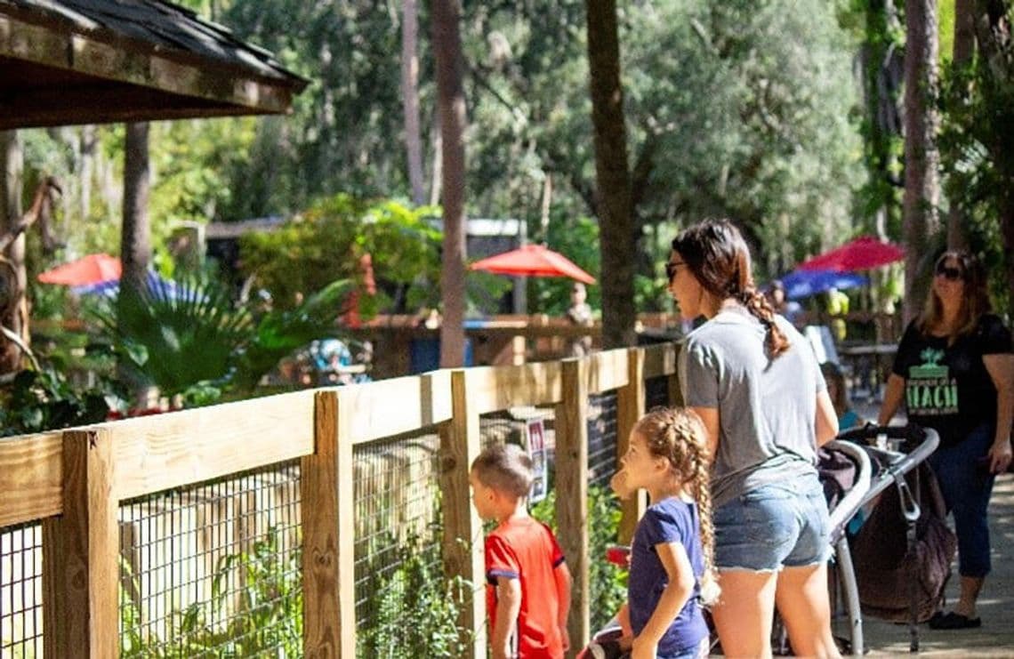 Central Florida Zoo opens early for summer heat relief