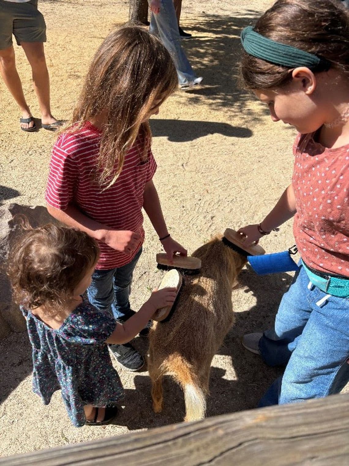 Central Florida Zoo adds hands-on goat encounter in Sanford
