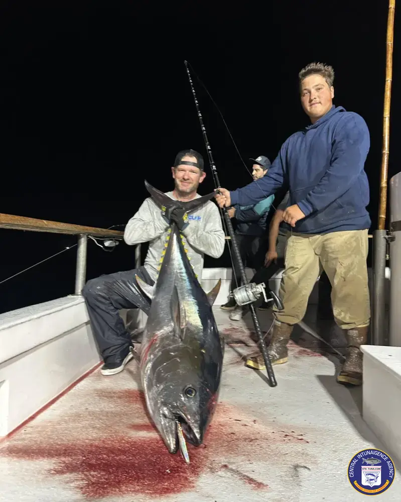San Diego Bluefin Trips Heat Up as 130-Pound Fish Dominate Tribute Night Bite