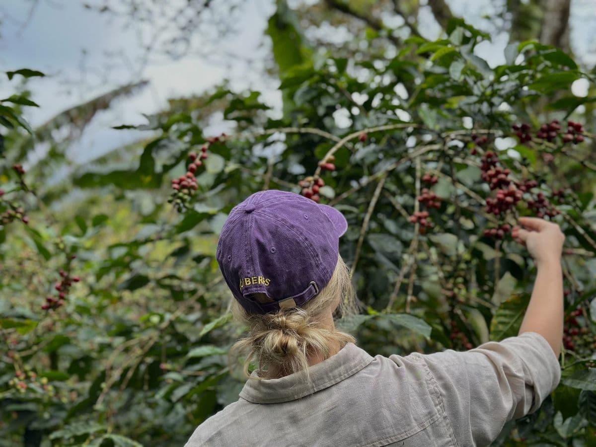 Löfbergs posts revenue surge, highlights climate gains despite operating loss