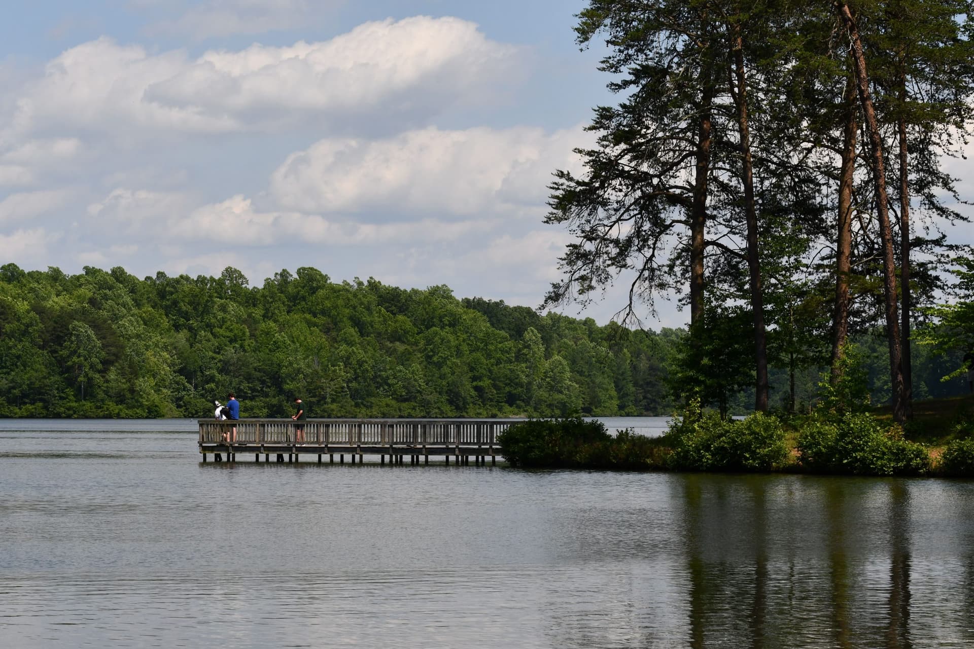 Related photo