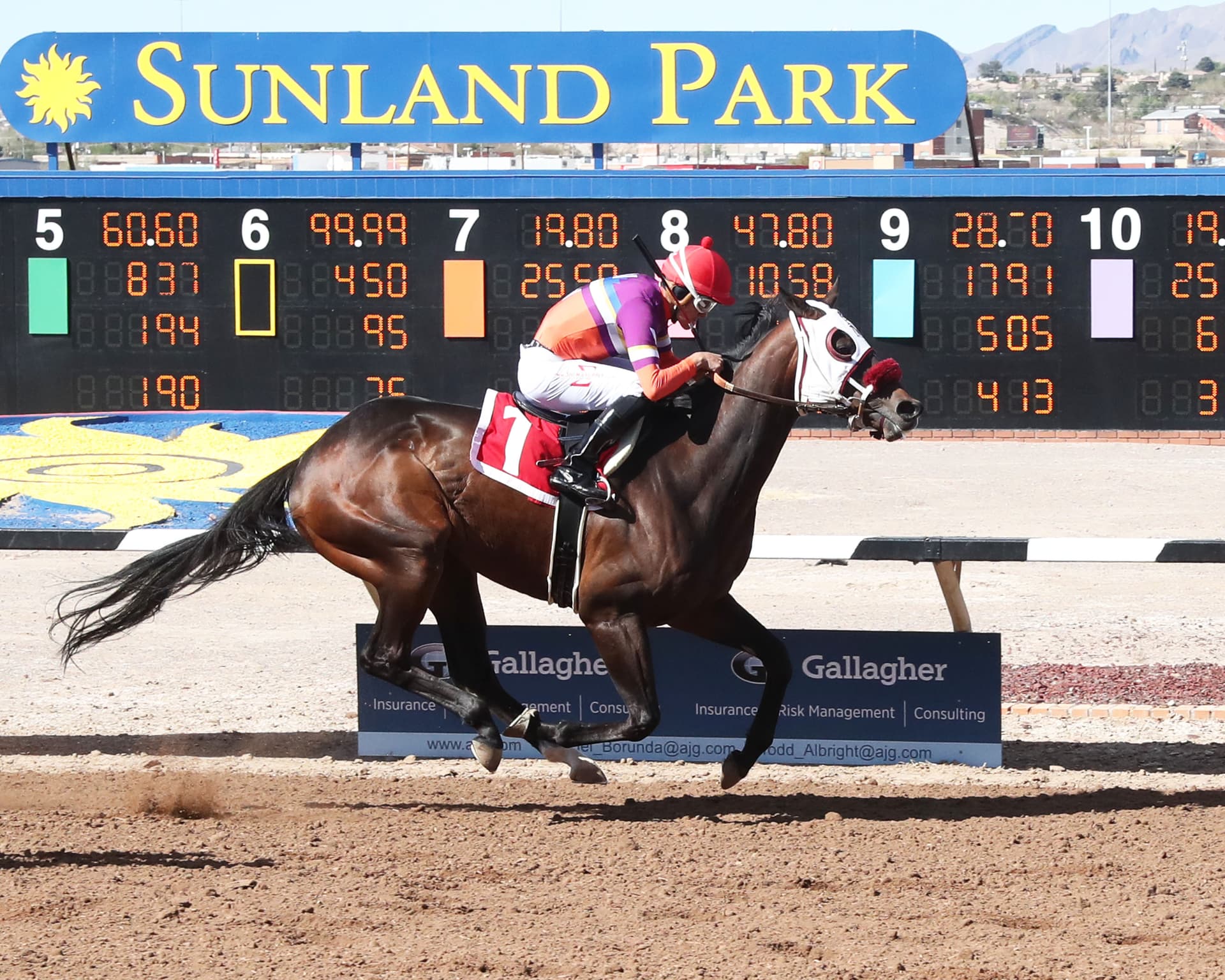 New Mexico Commission Suspends Trainer After Two Horses Die at Sunland Park
