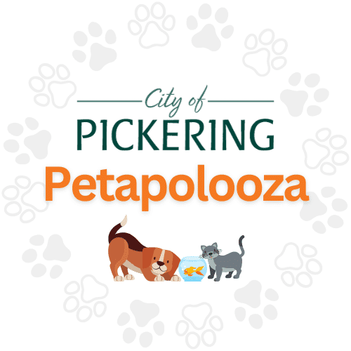 Petapolooza returns to Pickering with dog yoga and pet wellness fun