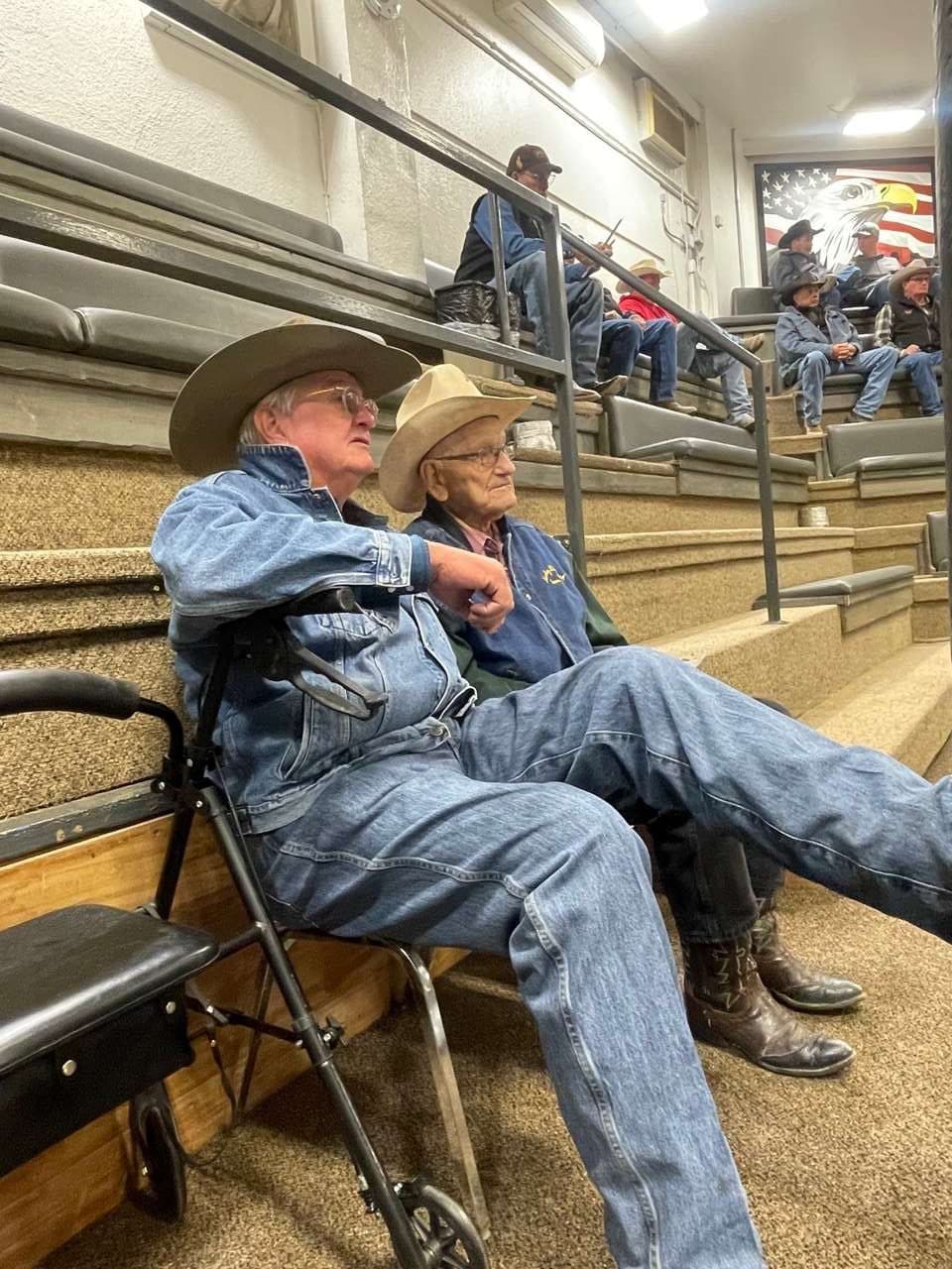 Sterling Livestock posts Feb. 4 steers near $417 and $378 per head