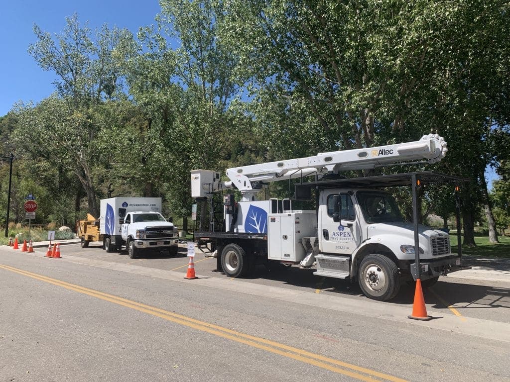Gidney Avenue closed for tree maintenance - expect detours, delays