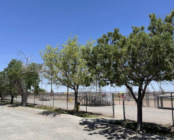 Lordsburg City Council Adopts Community Forest Management Plan for Trees, Maintenance