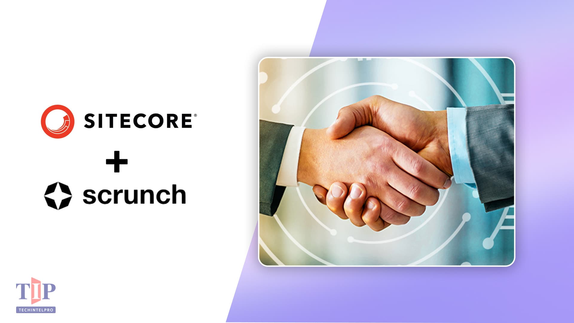 Sitecore buys Scrunch for AI search visibility and brand control