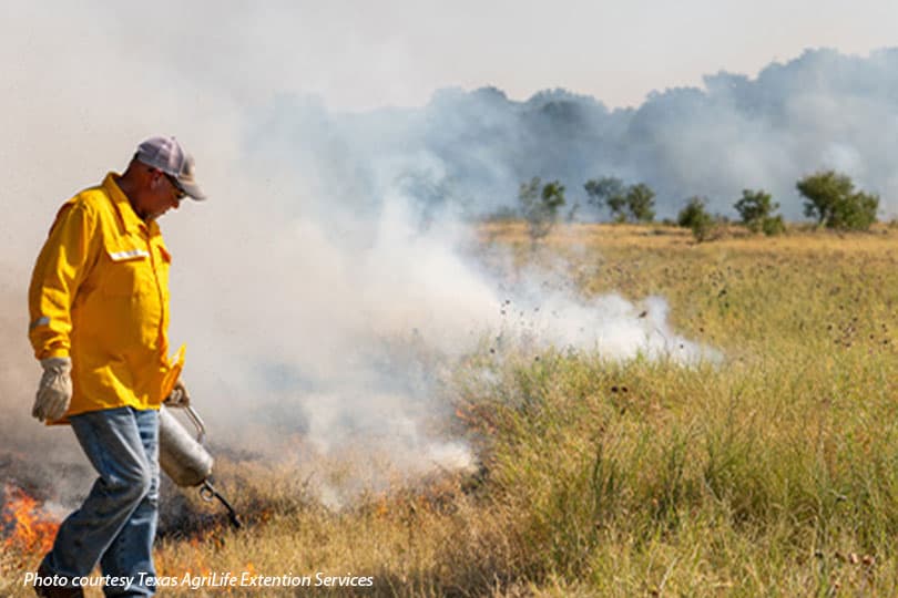 Gatesville to host prescribed burn school for landowners this June