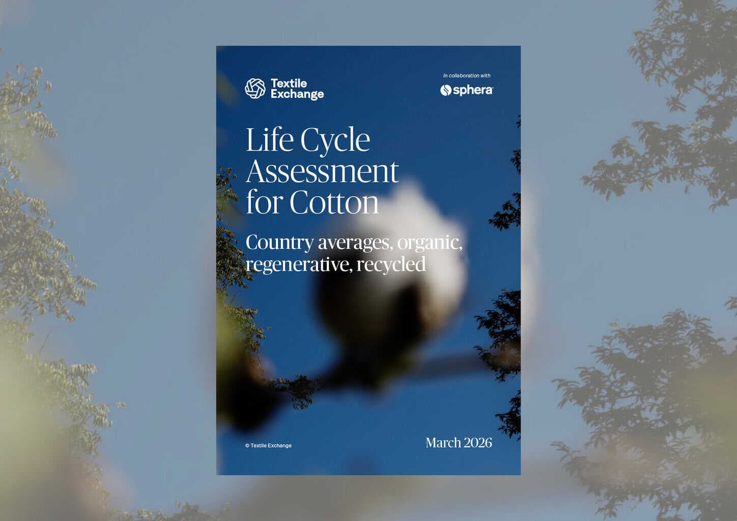 Textile Exchange publishes cotton Life Cycle Assessment (first in a series)
