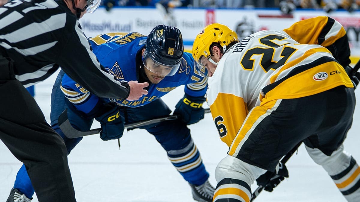 Brandsegg-Nygård's overtime winner keeps Grand Rapids alive against Chicago