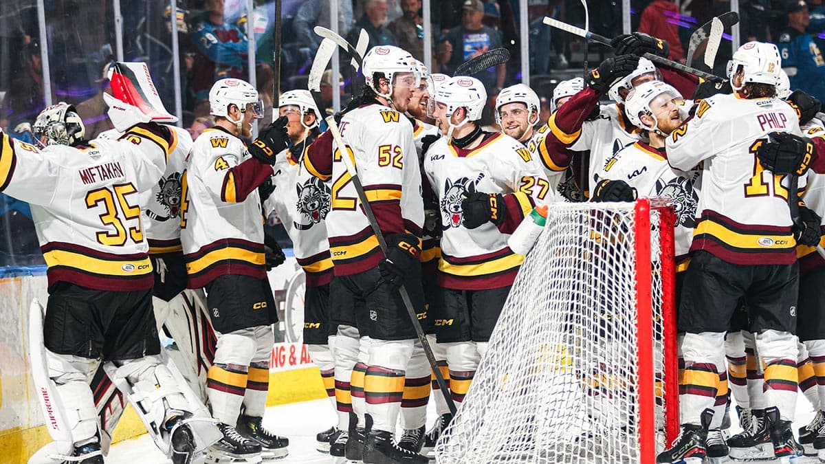 Hurricanes can join rare NHL-AHL double title chase with Wolves