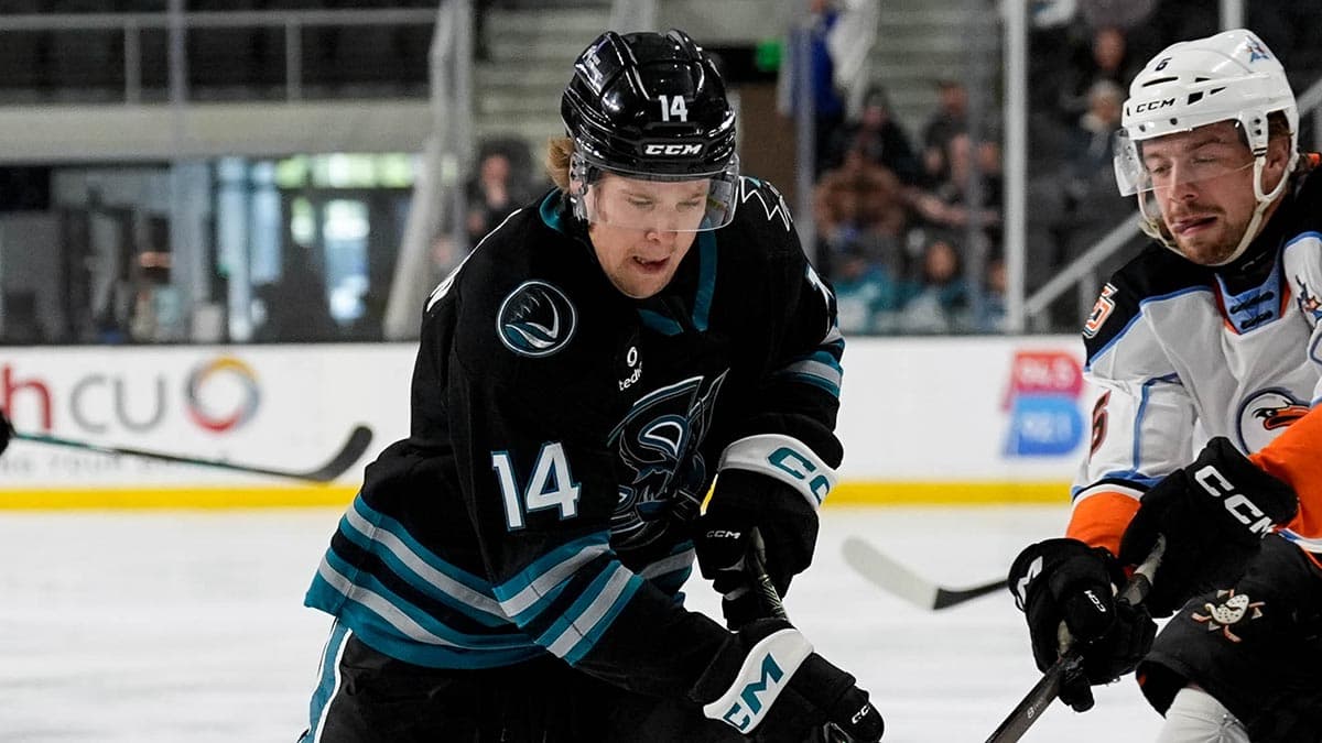 Ottawa adds AHL rookie Kasper Halttunen in Sharks trade