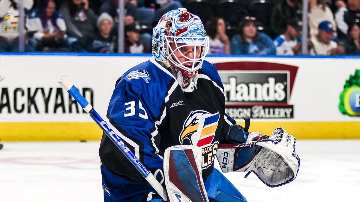 NHL trade sends AHL goalies Isak Posch and Magnus Chrona elsewhere