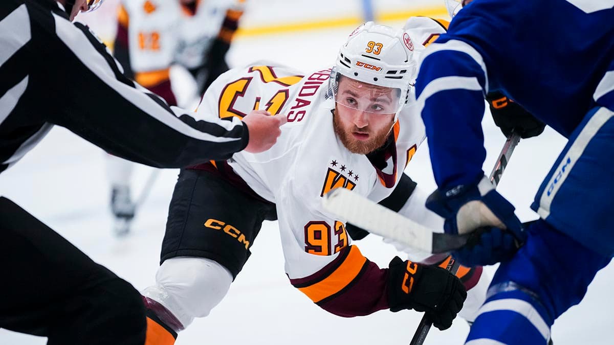 Toronto one win from Calder Cup as AHL alumni shine in NHL playoffs