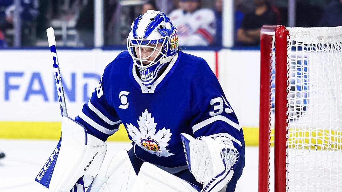 Lightning land AHL goalie Dennis Hildeby from Maple Leafs
