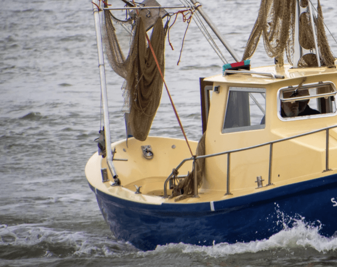 U.S. Senate Passes FISH Act to Fight Illegal Seafood Imports