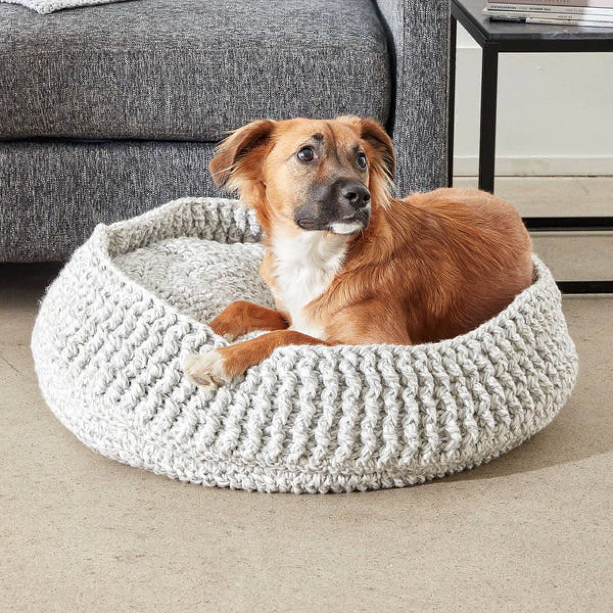 Free crochet dog bed pattern helps makers plan for size and comfort