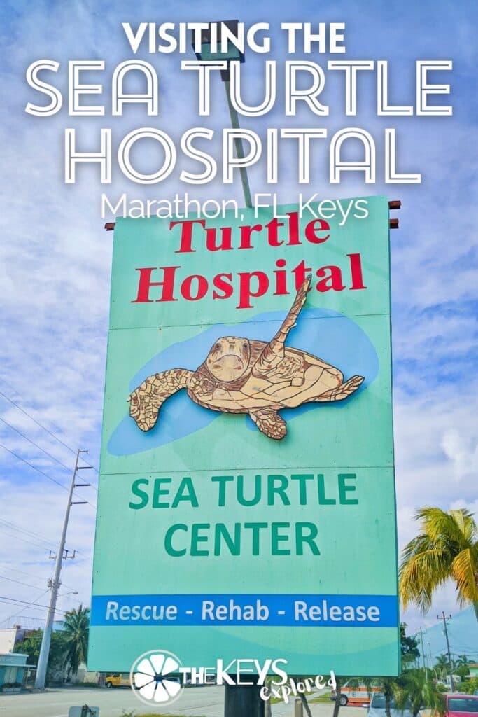 Monroe County Wildlife Primer, Where to See and Protect Nature