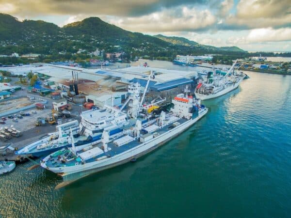 Seychelles-EU Tuna Access Deal Expires as Talks Stall Over 30% Demand