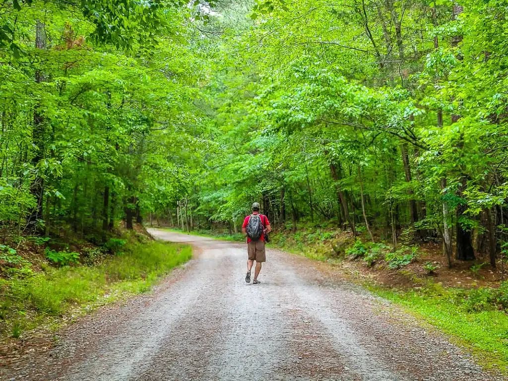 Umstead State Park guide: trails, lakes and visitor tips