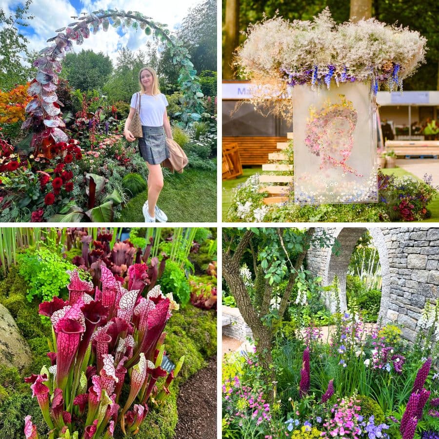 Chelsea Flower Show trends point to richer Valentine’s plant gifts