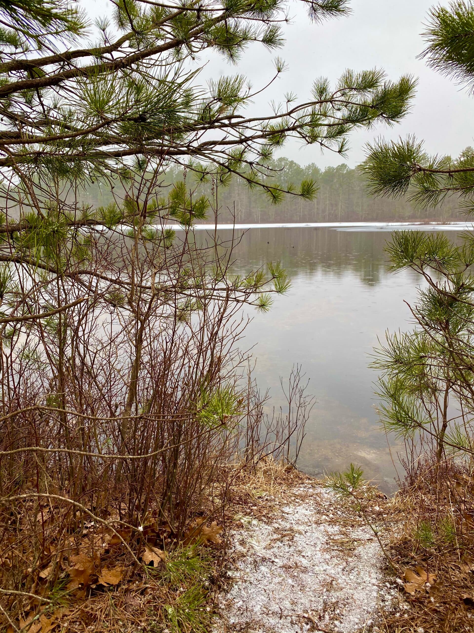 Top Suffolk County Parks for Winter Hikes and Birdwatching