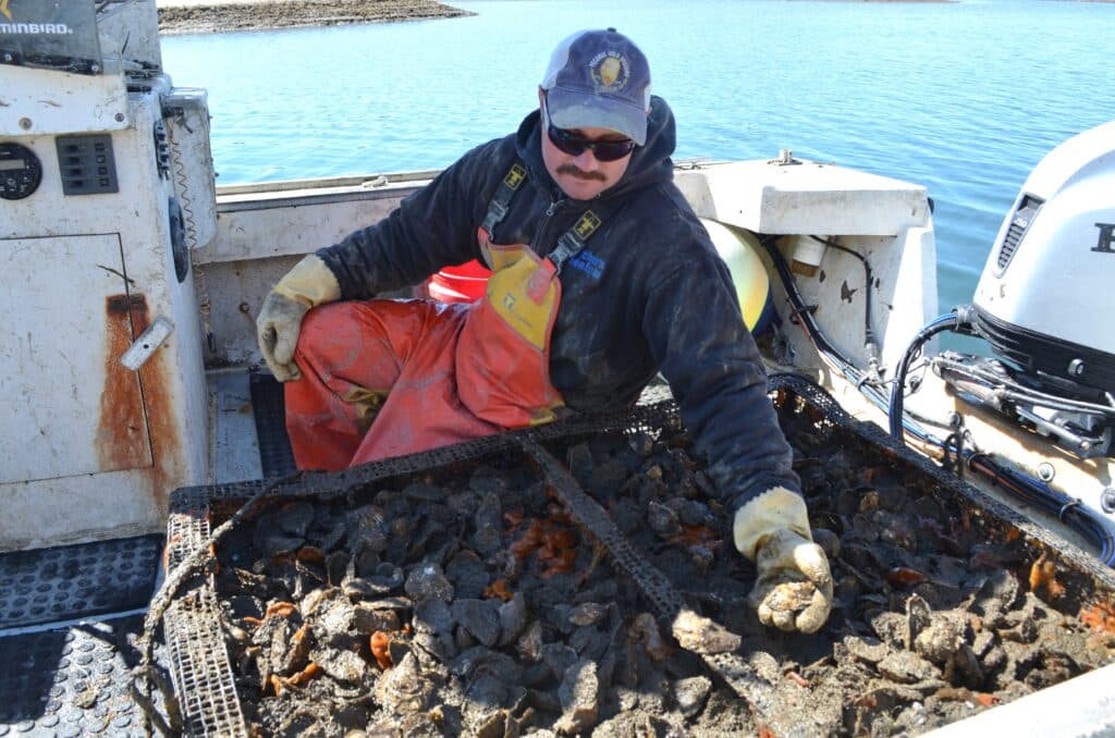 State grants $3 million to aid North Fork oyster farmers after freeze
