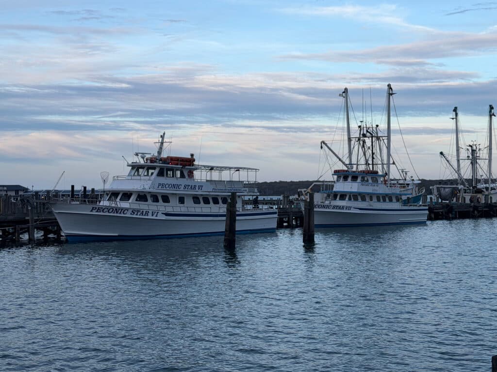 Greenport Peconic Star Fleet Returns After Months of Uncertainty