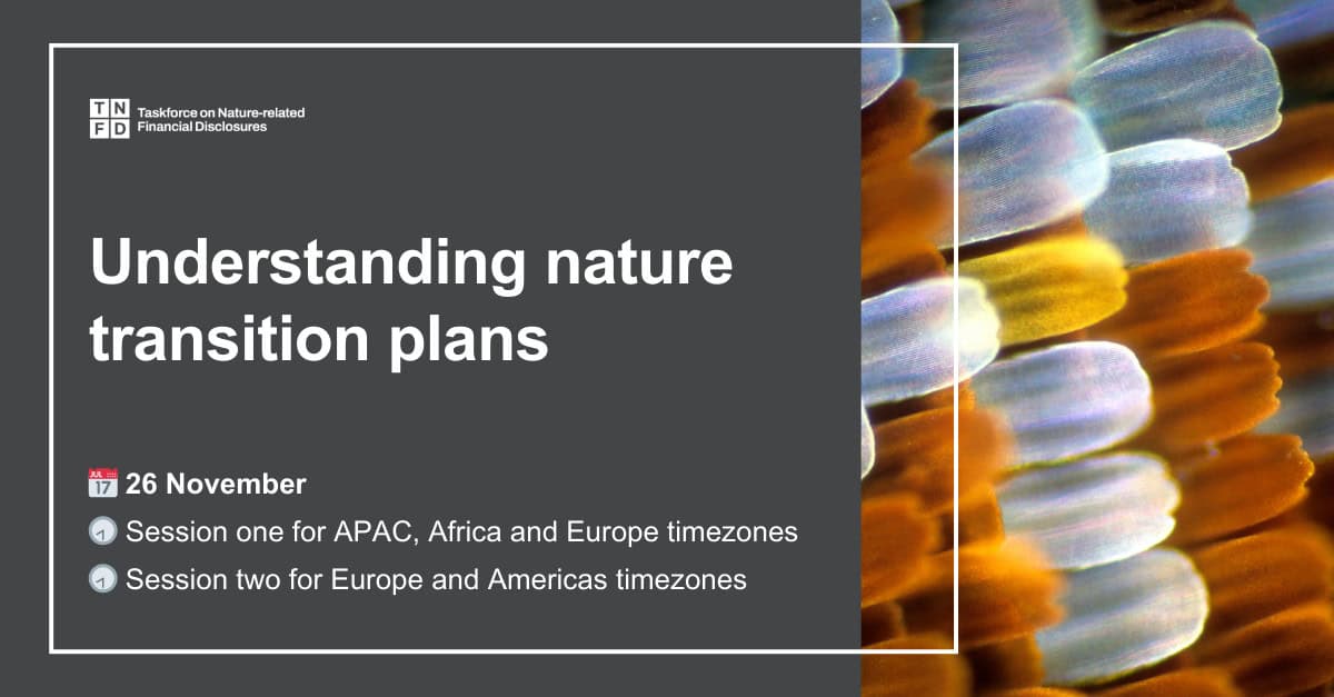 JDE Peet’s vows 100% responsibly sourced coffee by 2028 in TNFD-aligned plan