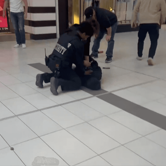 Five Suspects Arrested After Bear Spray Smash-and-Grab at Oshawa Jeweller