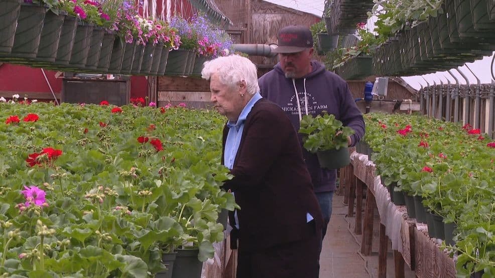 Rhode Island woman, 100, still works family farm she started