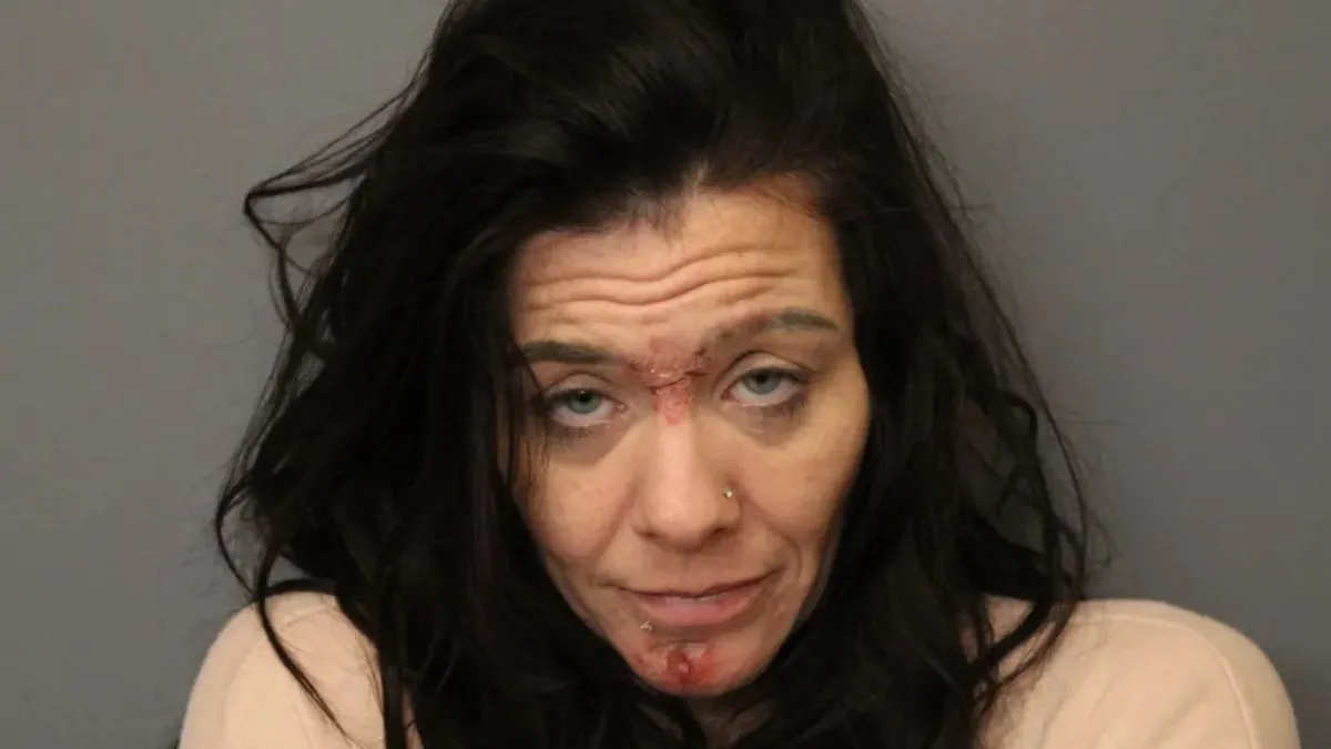 Vinton County Grand Jury Indicts Several Residents on Felony Charges