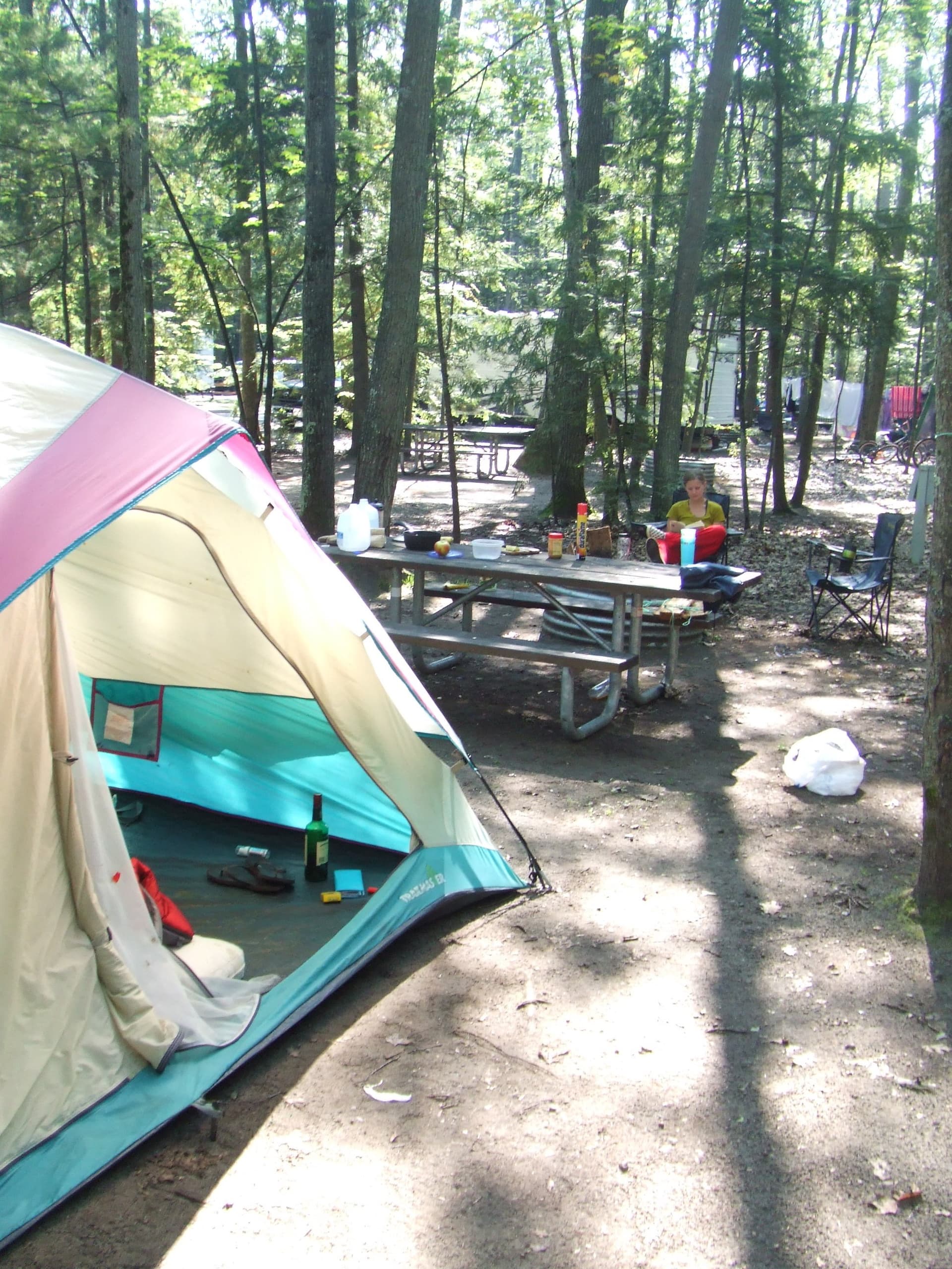 Interlochen State Park marks Michigan's first state park milestone