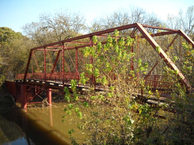 North Texas mycologists to lead guided mushroom foray at Old Alton Bridge