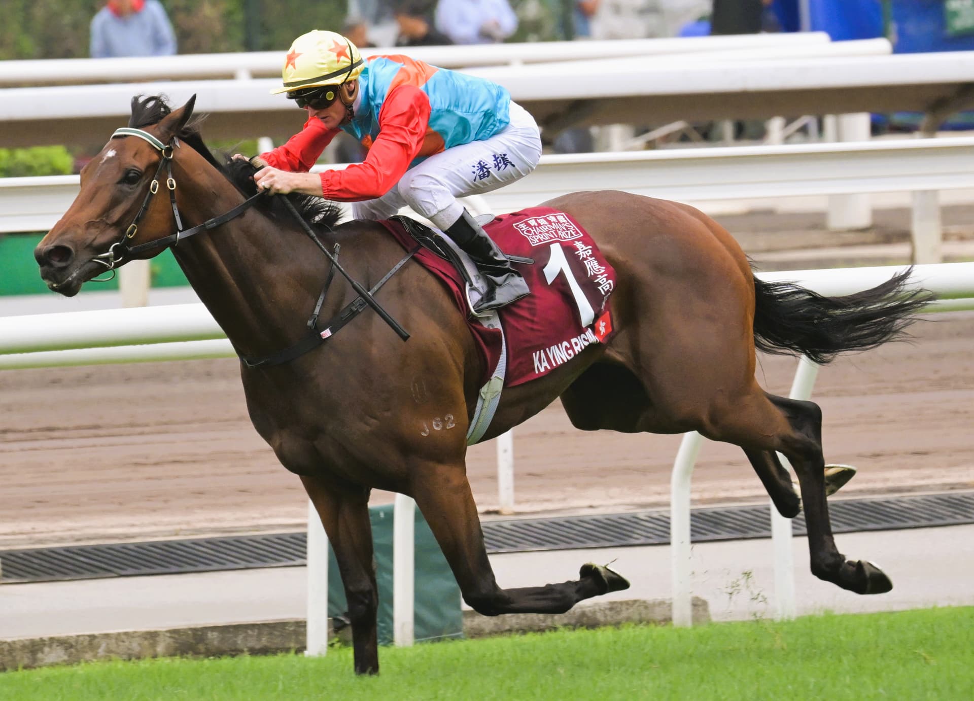 Ka Ying Rising holds top spot in latest world racehorse rankings
