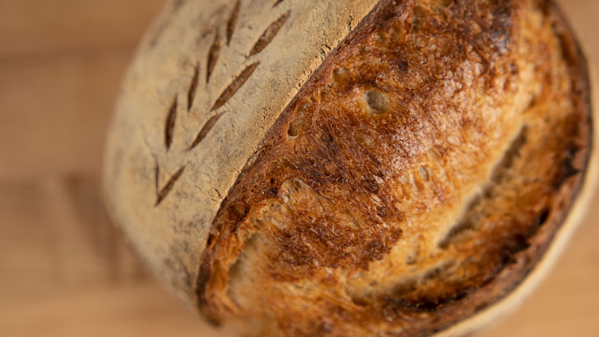 Hands-On Sourdough Bread 101 with Maegan Vaughan in Iron District