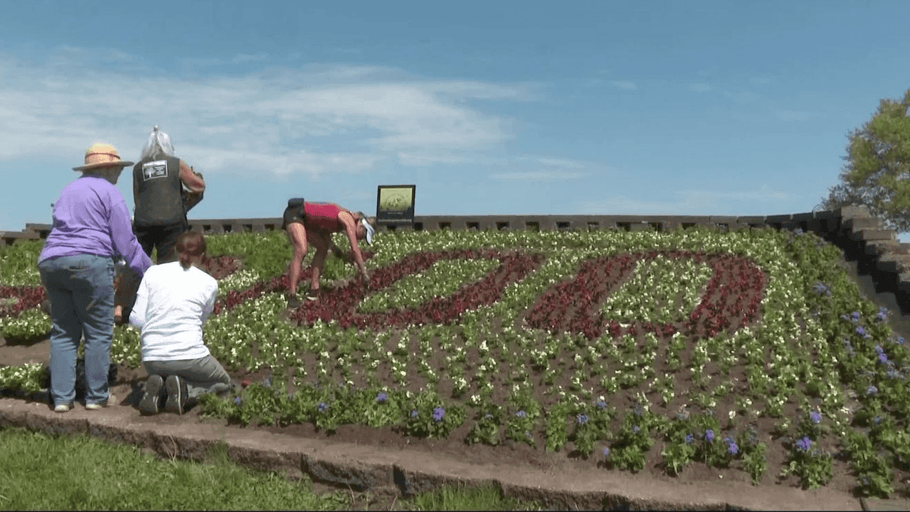 Friendly Garden Club plants 5,000 flowers for Cherry Festival logo garden
