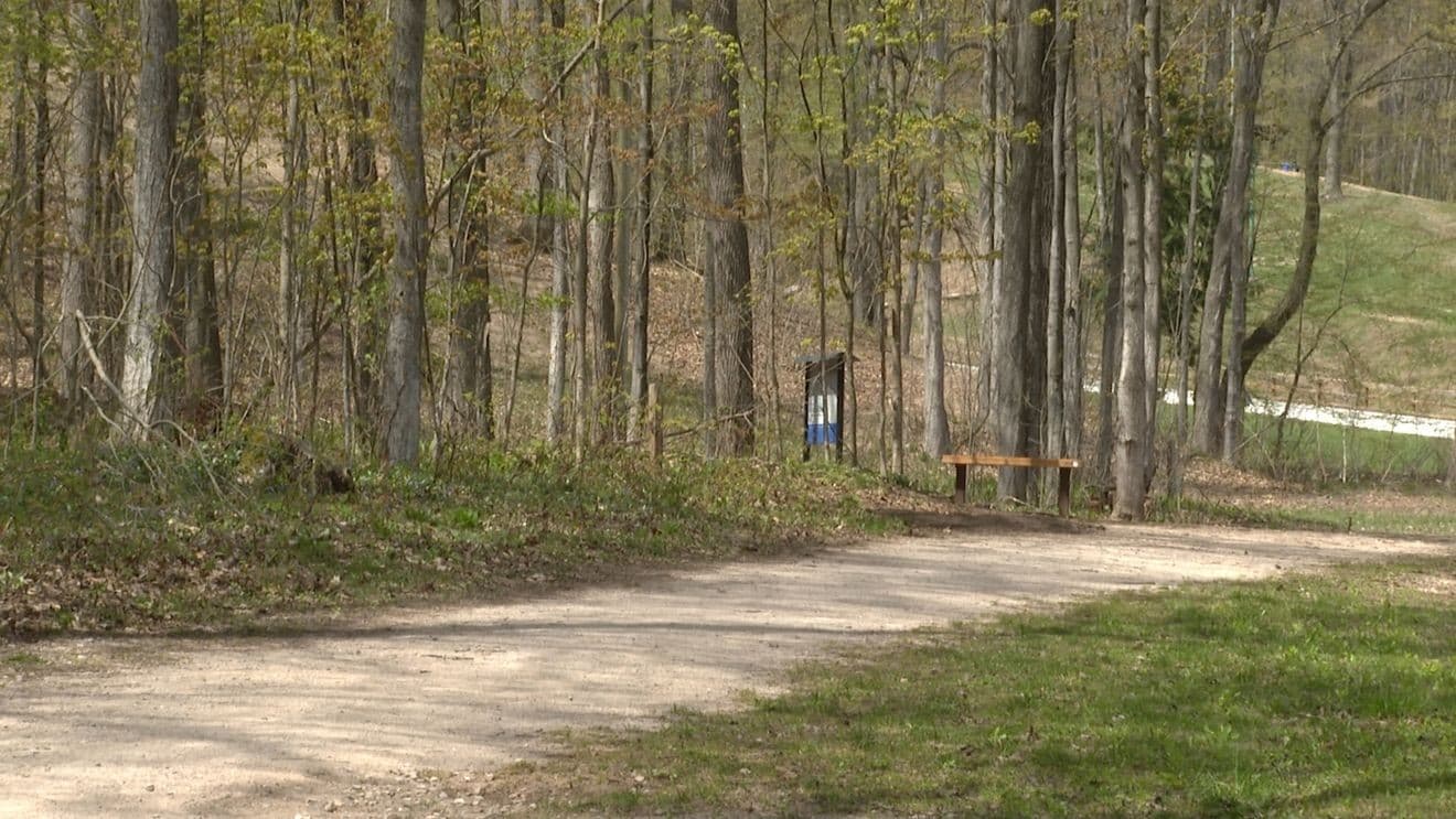 Hickory Hills Day Camp offers nature-based childcare for Traverse City families