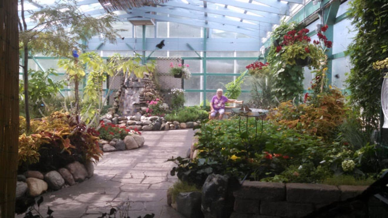Grand Traverse Butterfly House opens, offers hands-on spring fun