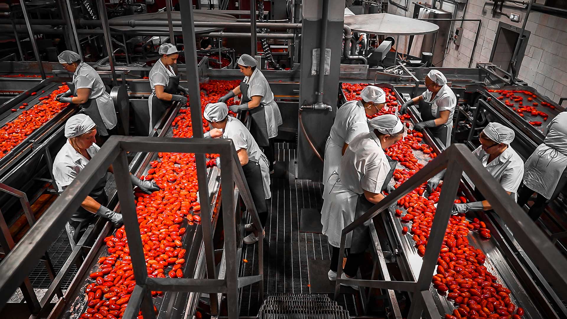 De Cecco acquires RossoGargano to tighten pasta supply chain