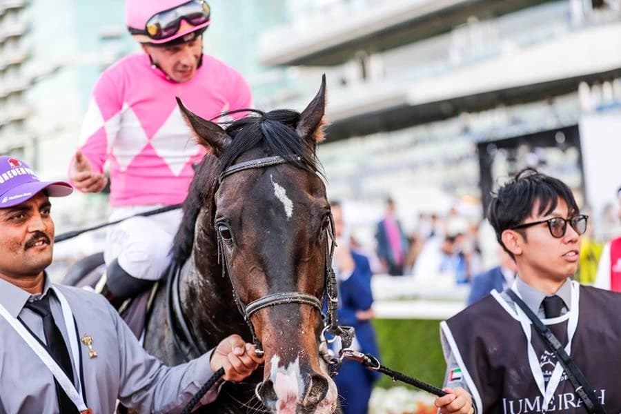 UAE Derby Winner Wonder Dean Leads International Arrivals for Derby Season