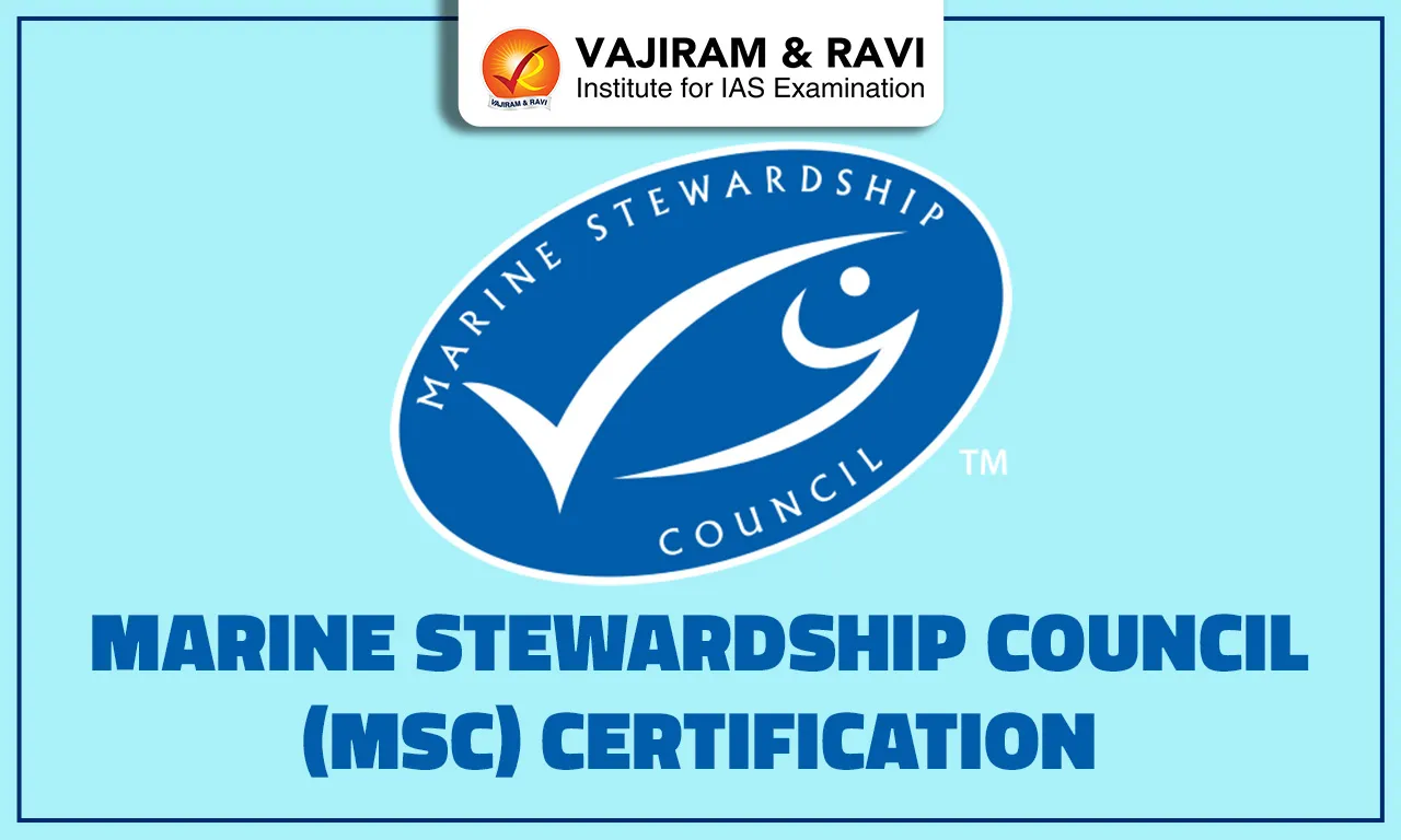 Ghana Secures MSC Certification for Atlantic Skipjack and Yellowfin Fisheries
