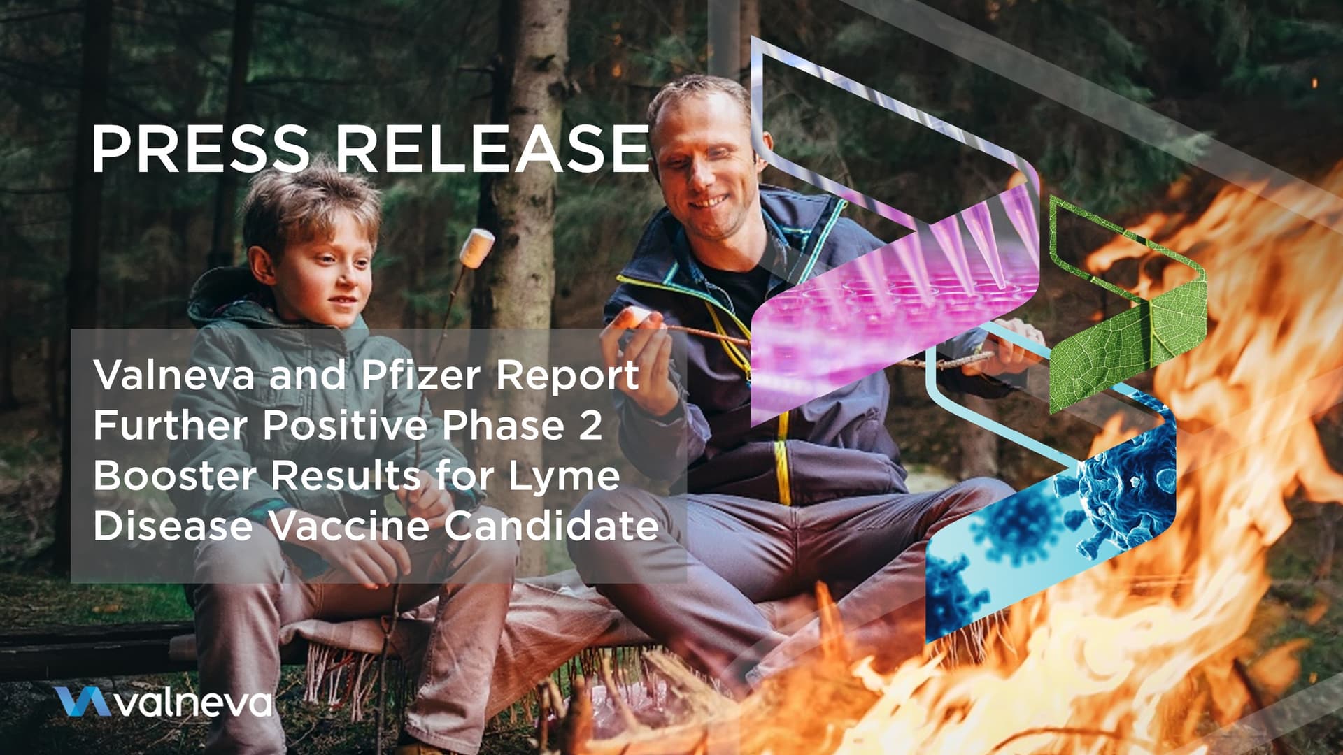 Pfizer and Valneva Lyme Vaccine Shows 73% Efficacy in Phase 3 Trial