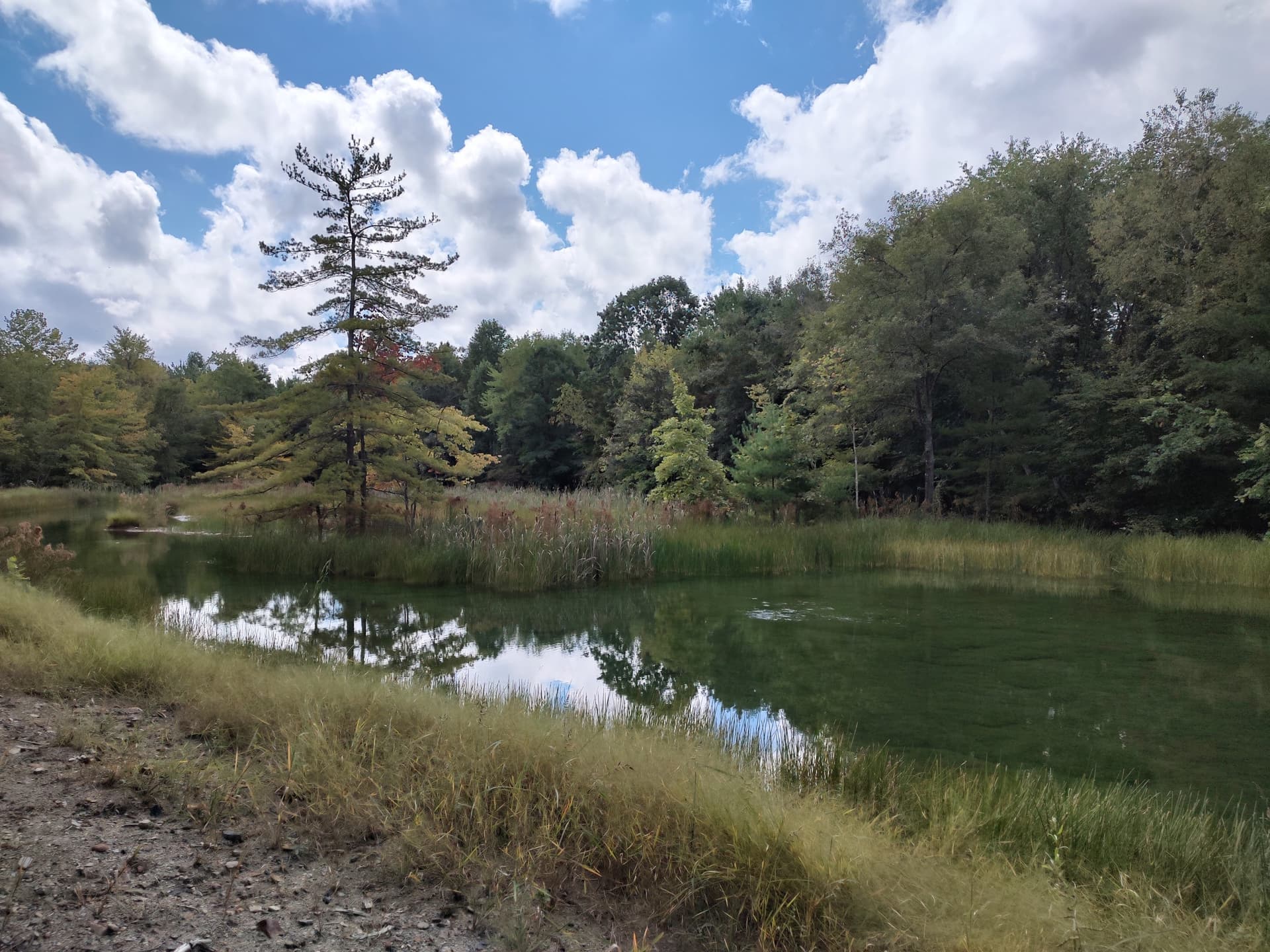 Vinton County Park District Advances Moonville Rail-Trail Improvements, Upgrades